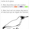 Charade Oiseau 2 - Margareth dedans Jeux De Oiseau Gratuit