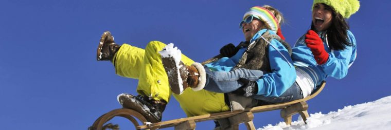 Chiens De Traineaux Vercors – La Drôme Montagne destiné Chien Qui Fait De La Luge