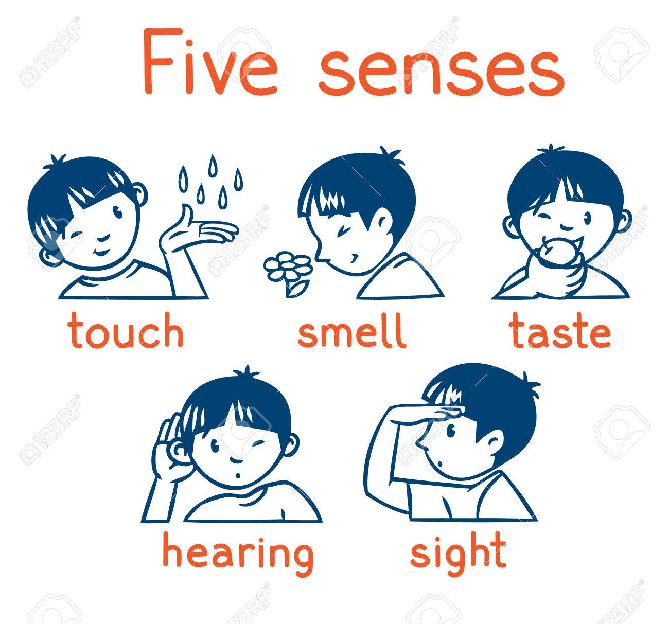 Cinq Sens De Jeu D&amp;#039;icônes Monochrome intérieur Jeu Des Cinq Sens 