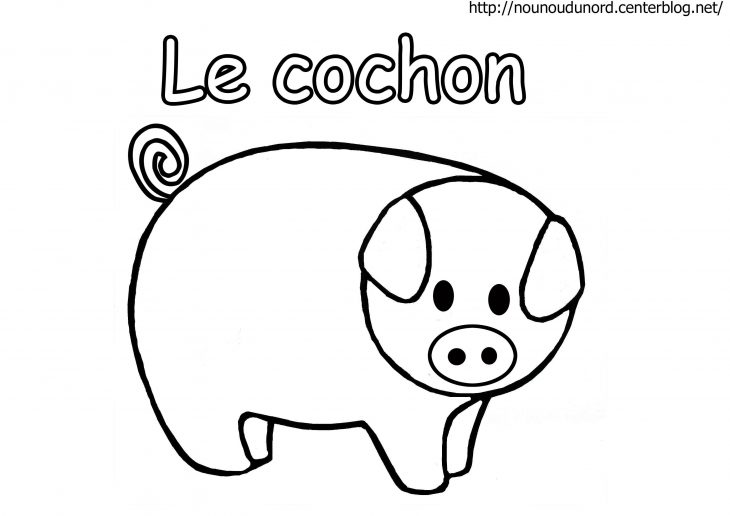 Cochon En Coloriage, À Gommettes, En Couleur avec Dessin De Cochon En Couleur