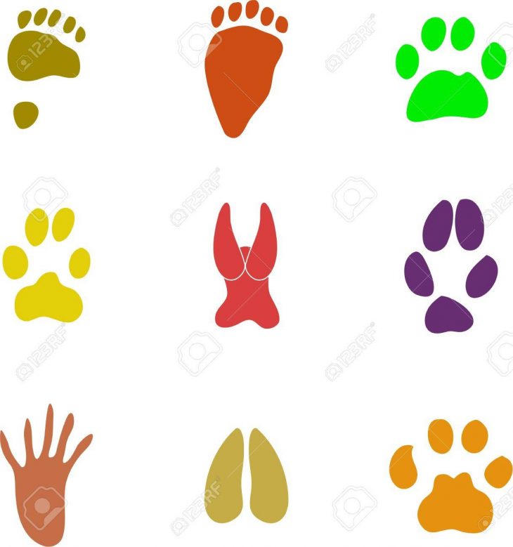 Collection De Couleurs Isolées Animal Voie Imprimer Les Icônes avec Image D Animaux A Imprimer En Couleur