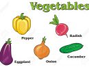 Colored Vegetables With His Name encequiconcerne Nom Legume