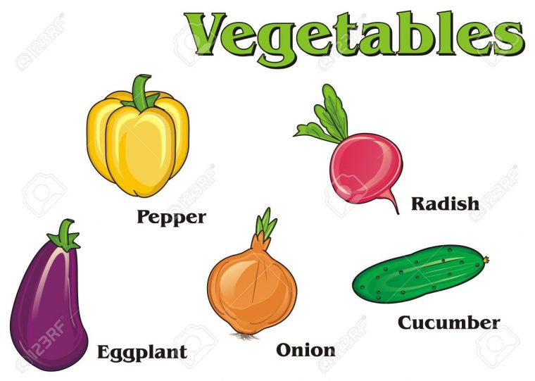 Colored Vegetables With His Name encequiconcerne Nom Legume