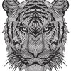 Coloriage Adulte Animal Tigre Difficile Antistress Dessin à Coloriage En Ligne Difficile