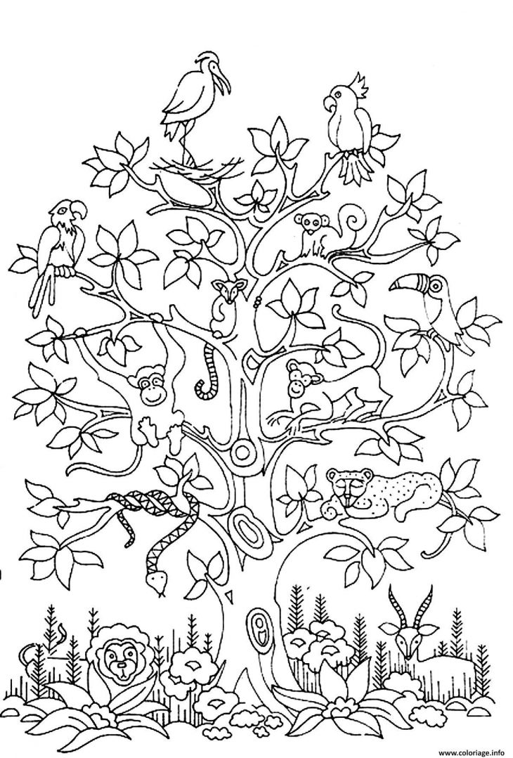 Coloriage Adulte Difficile Arbre Oiseaux Serpents Singes Dessin destiné Arbre A Colorier Et A Imprimer