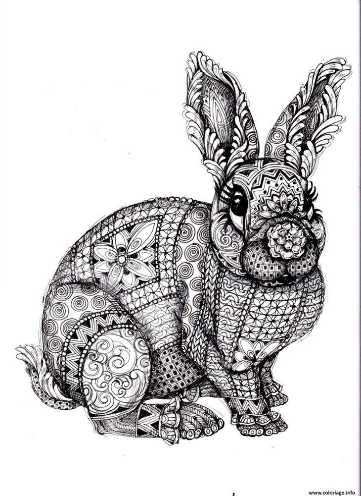 Coloriage Adulte Difficile Lapin Dessin destiné Coloriage En Ligne Difficile