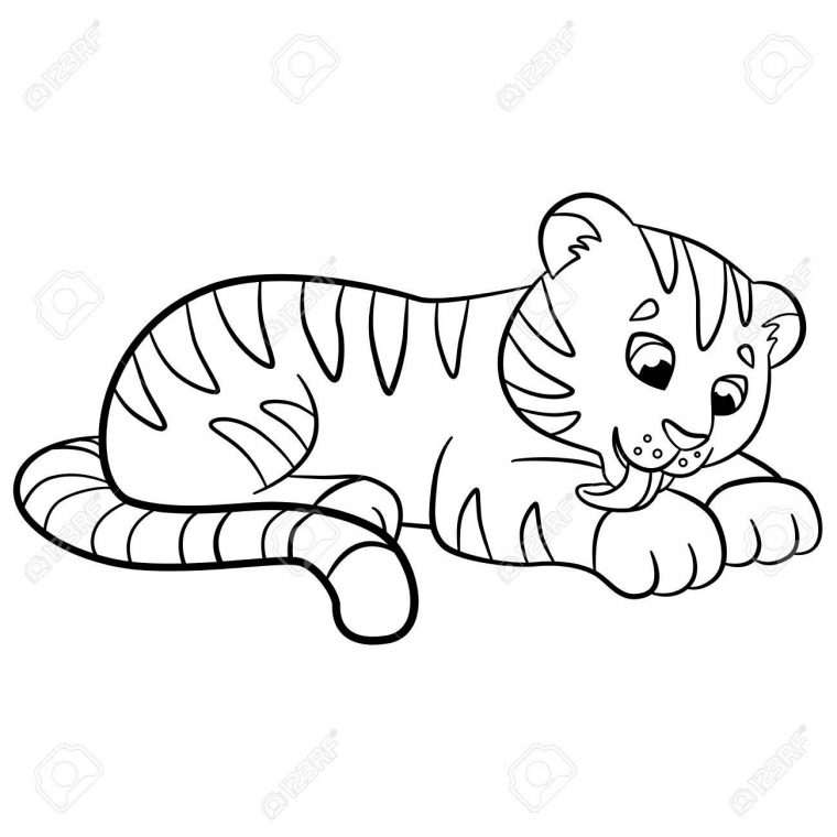 Coloriage. Animaux Sauvages. Petit Bébé Tigre Mignon Lui-Même Et Sourires  Nettoie. pour Coloriage Bébé Tigre