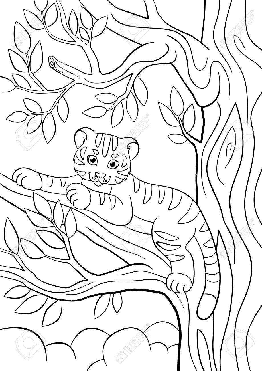 Coloriage. Animaux Sauvages. Petit Bébé Tigre Mignon Pose Sur La Branche  D&amp;#039;arbre Et De Sourires. serapportantà Coloriage Bébé Tigre 