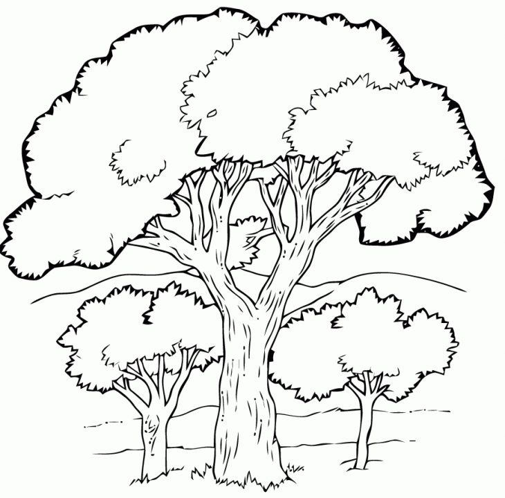 Coloriage Arbre Halloween destiné Arbre A Colorier Et A Imprimer