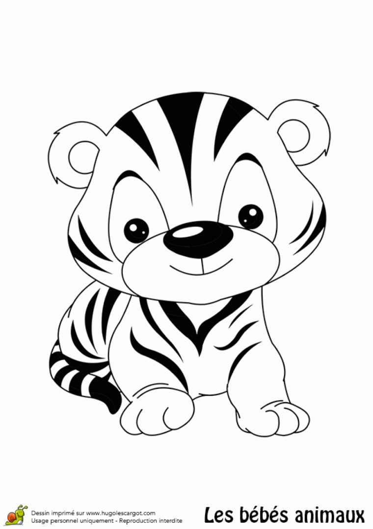 Coloriage Bébé Tigre concernant Coloriage Bébé Tigre