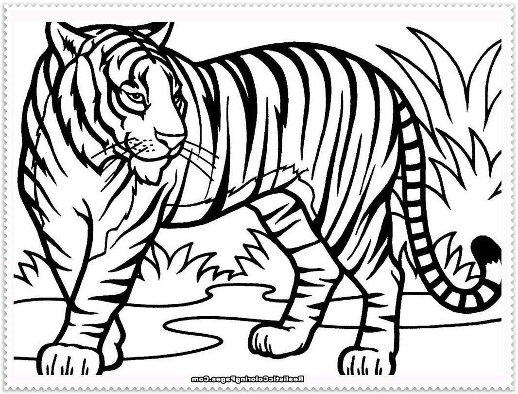 Coloriage Bebe Tigre #dessinbebe In 2020 | Lion Coloring pour Coloriage Bébé Tigre