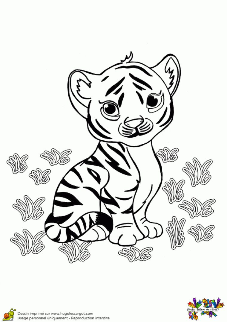 Coloriage Bebe Tigre Sur Hugolescargot encequiconcerne Coloriage Bébé Tigre