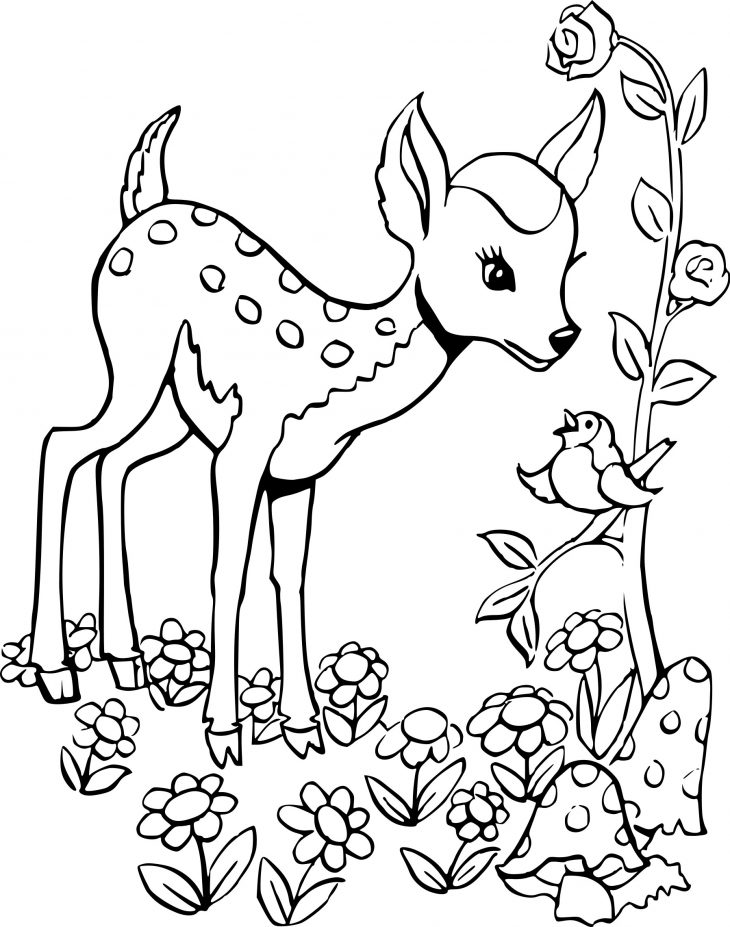 Coloriage Cerf Faon À Imprimer Sur Coloriages encequiconcerne Faon Dessin