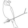 Coloriage D'un Oiseau Sur Une Branche D'arbre À Imprimer Et avec Arbre A Colorier Et A Imprimer