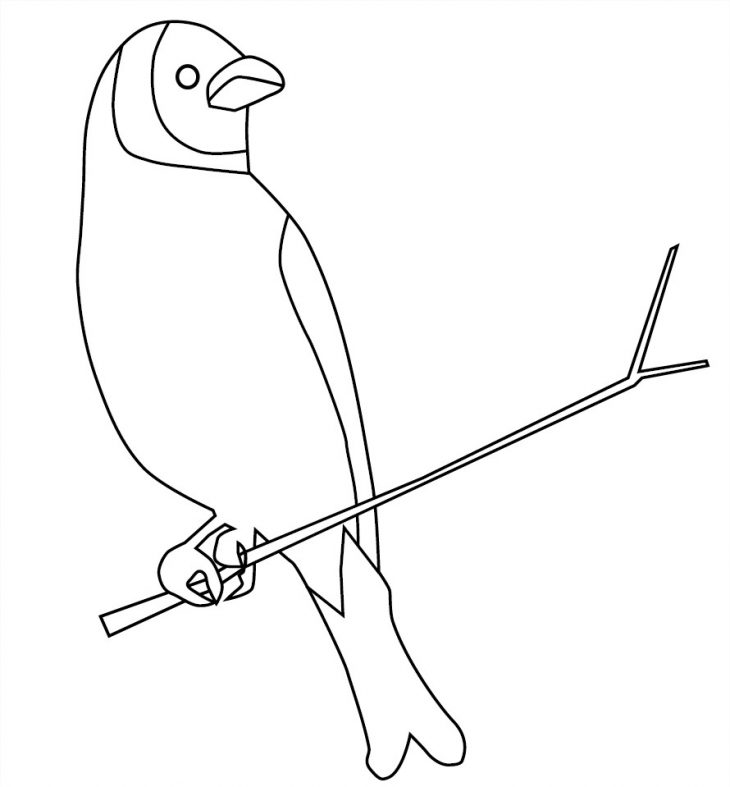 Coloriage D'un Oiseau Sur Une Branche D'arbre À Imprimer Et avec Arbre A Colorier Et A Imprimer