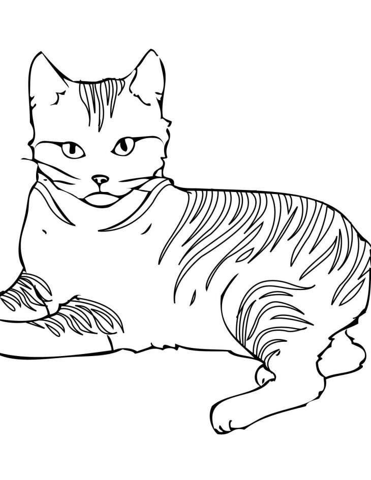 Coloriage En Ligne De Chats – 1001 Animaux avec Coloriage De Chat En Ligne