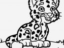 Coloriage Guepard Et Dessin Imprimer - Coloriages Gratuits serapportantà Coloriage Bébé Tigre