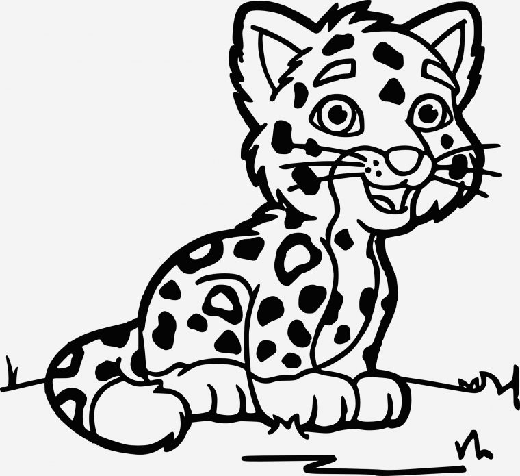 Coloriage Guepard Et Dessin Imprimer – Coloriages Gratuits serapportantà Coloriage Bébé Tigre