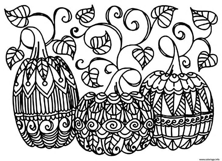 Coloriage Halloween Trois Citrouilles Dessin intérieur Dessin Halloween Citrouille A Imprimer Gratuit