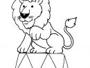 Coloriage Lion Cirque En Ligne Gratuit À Imprimer à Photo De Lion A Imprimer En Couleur