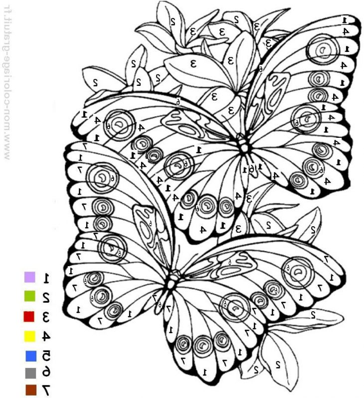 Coloriage Magique Maternelle Meilleur De Coloriage Magique à Jeux Papillon Gratuits Ligne