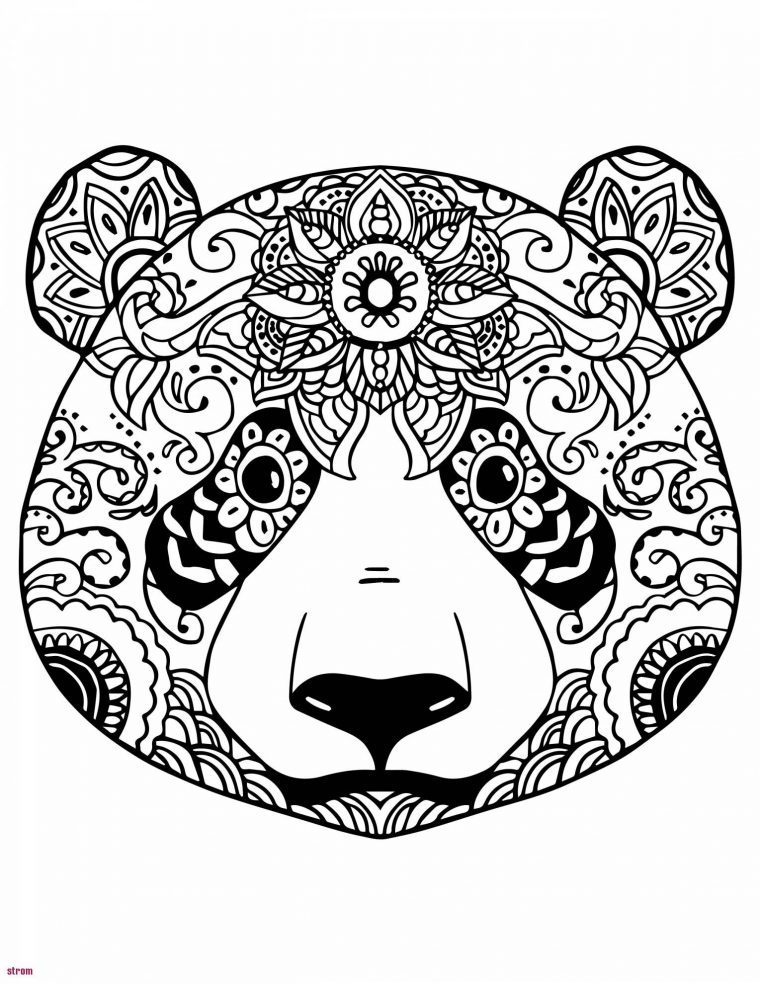 Coloriage Mandala Imprimer Gratuit Excellent Portrait Belle dedans Photo De Lion A Imprimer En Couleur