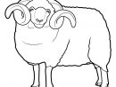 Coloriage Mouton A Imprimer 16 | Coloriage Mouton, Image serapportantà Mouton À Colorier