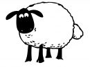 Coloriage Mouton Tete Noir | Coloriage Mouton, Dessin Facile encequiconcerne Mouton À Colorier