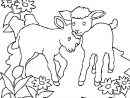 Coloriage Moutons En Ligne Gratuit À Imprimer avec Mouton À Colorier