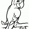 Coloriage Oiseau Perroquet Sur Hugolescargot destiné Perroquet Coloriage A Imprimer