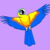 Coloriage Perroquet Sur Hugolescargot à Jeux De Oiseau Gratuit