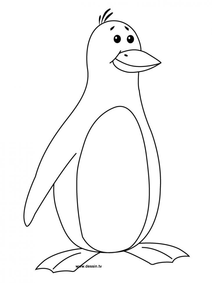 Coloriage Pingouin À Colorier – Dessin À Imprimer avec Top Model À Colorier