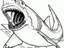 Coloriage Requin Gratuit Imprimer 1001 Animaux Dessin Requin pour Requin Jeux Gratuit
