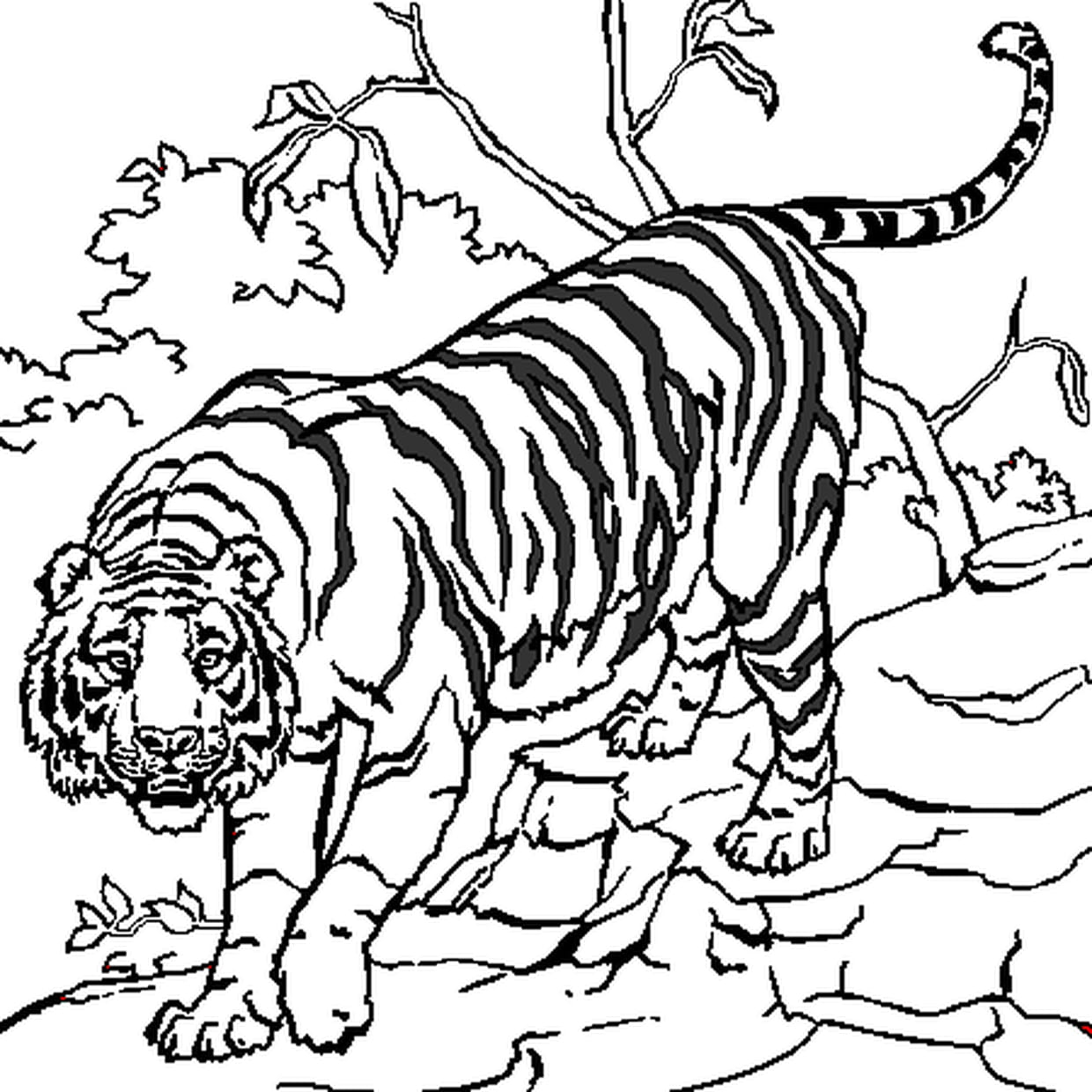 Coloriage Tigre En Ligne Gratuit À Imprimer dedans Coloriage Bébé Tigre