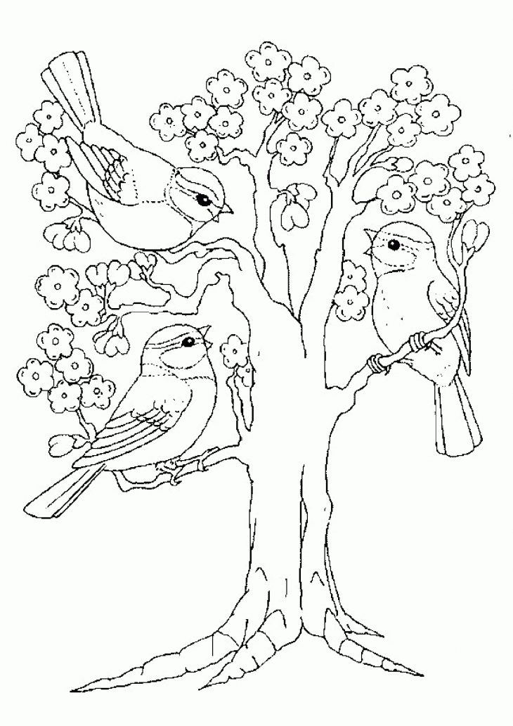 Coloriage Trois Petits Oiseaux Sur Un Arbre dedans Arbre A Colorier Et A Imprimer