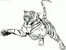 Coloriage204: Coloriage Tigre À Imprimer encequiconcerne Coloriage Bébé Tigre