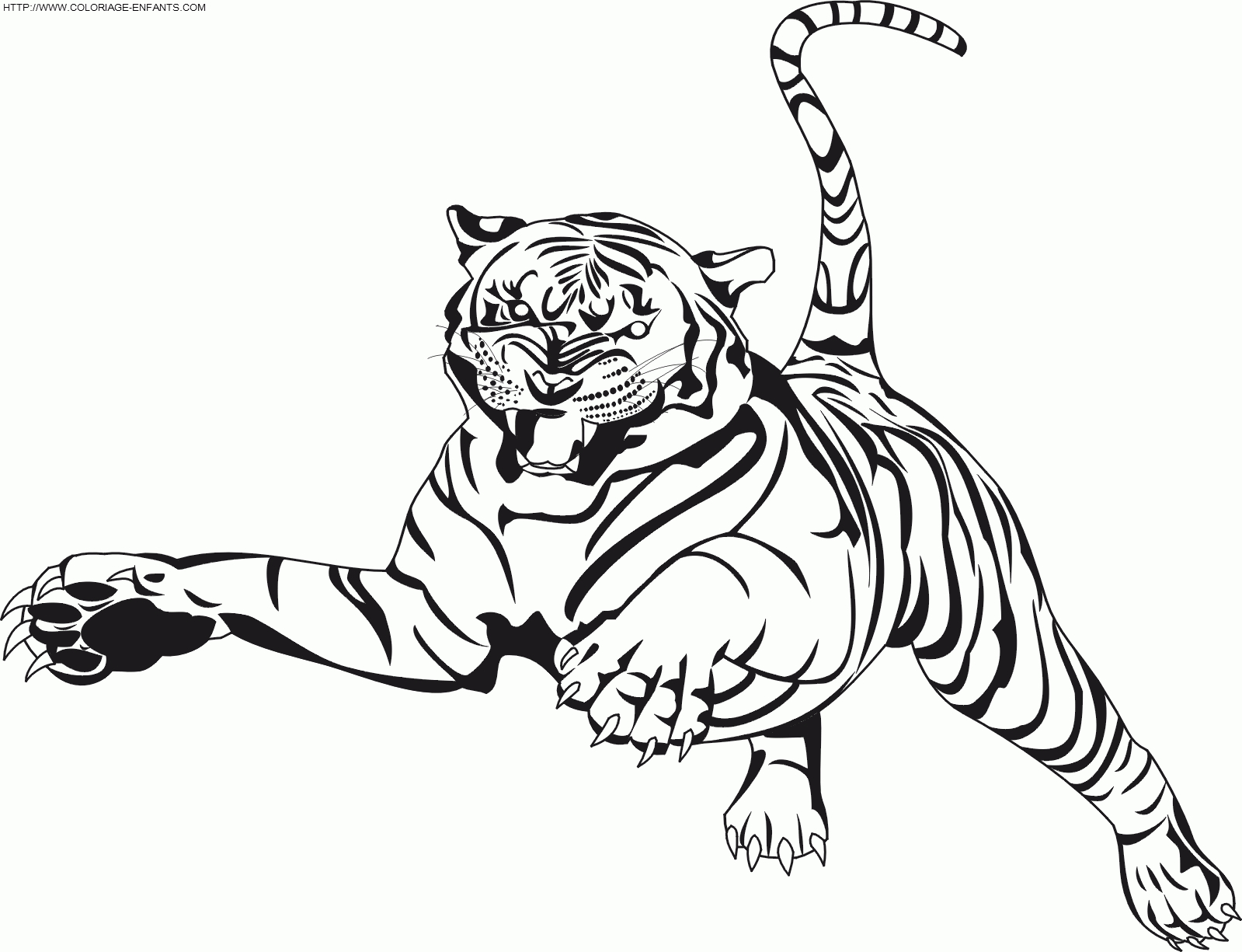Coloriage204: Coloriage Tigre À Imprimer encequiconcerne Coloriage Bébé Tigre