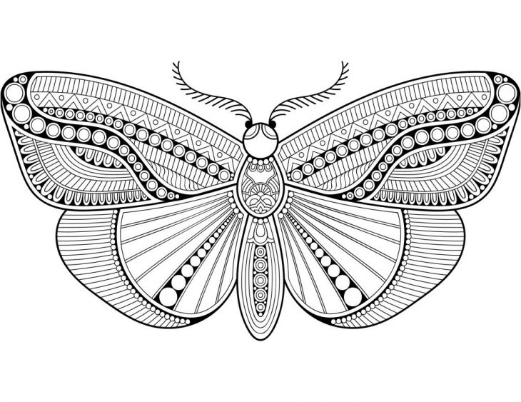 Coloriagepouradulteenligne Hashtag On Twitter dedans Coloriage En Ligne Difficile Coloriagepouradulteenligne Hashtag On Twitter dedans Coloriage En Ligne Difficile