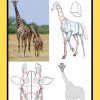 Comment Dessiner Une Girafe | Comment Dessiner Une Girafe encequiconcerne Apprendre A Dessiner Des Animaux Facilement Et Gratuitement