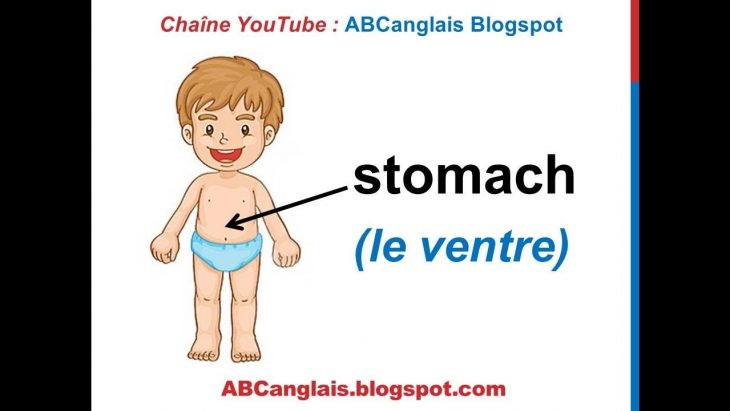 Cours D'anglais 18 – Les Parties Du Corps En Anglais La Tête Le Visage  Vocabulaire Pour Enfants concernant Apprendre Les Parties Du Visage