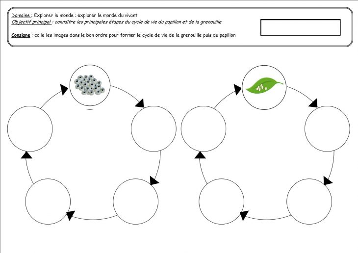 Cycles De Vie : Grenouille Et Papillon – Ecole De Nadège dedans Cycle De Vie Grenouille