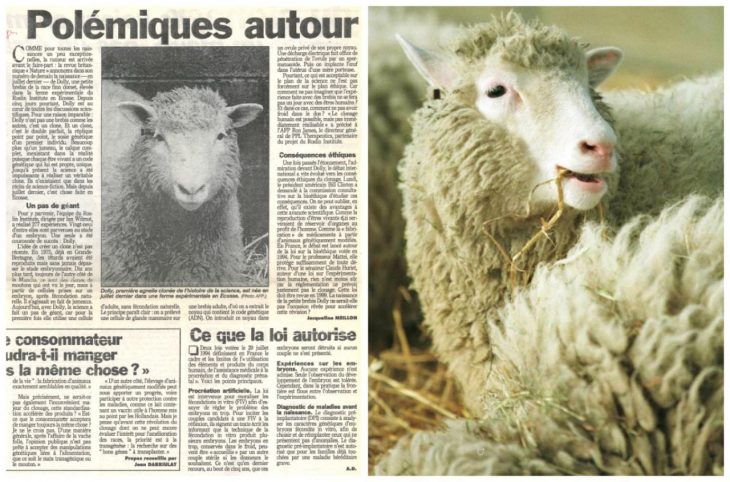 Dans Le Retro. Il Y A 20 Ans, Les Premiers Bêlements Du serapportantà Différence Entre Brebis Et Mouton