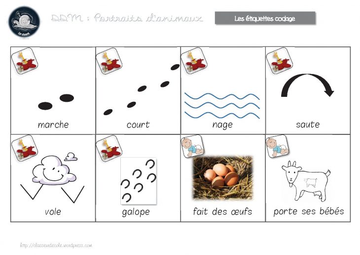 Ddm Le Vivant -Cycle 1 : Portraits D'animaux avec Animaux Maternelle Activités