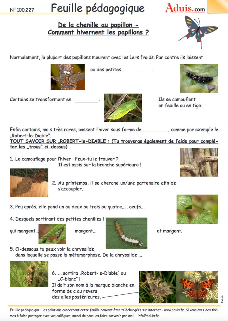 Des Dizaines De Fiches Pédagogiques (Les Insectes) À avec Imagier Insectes