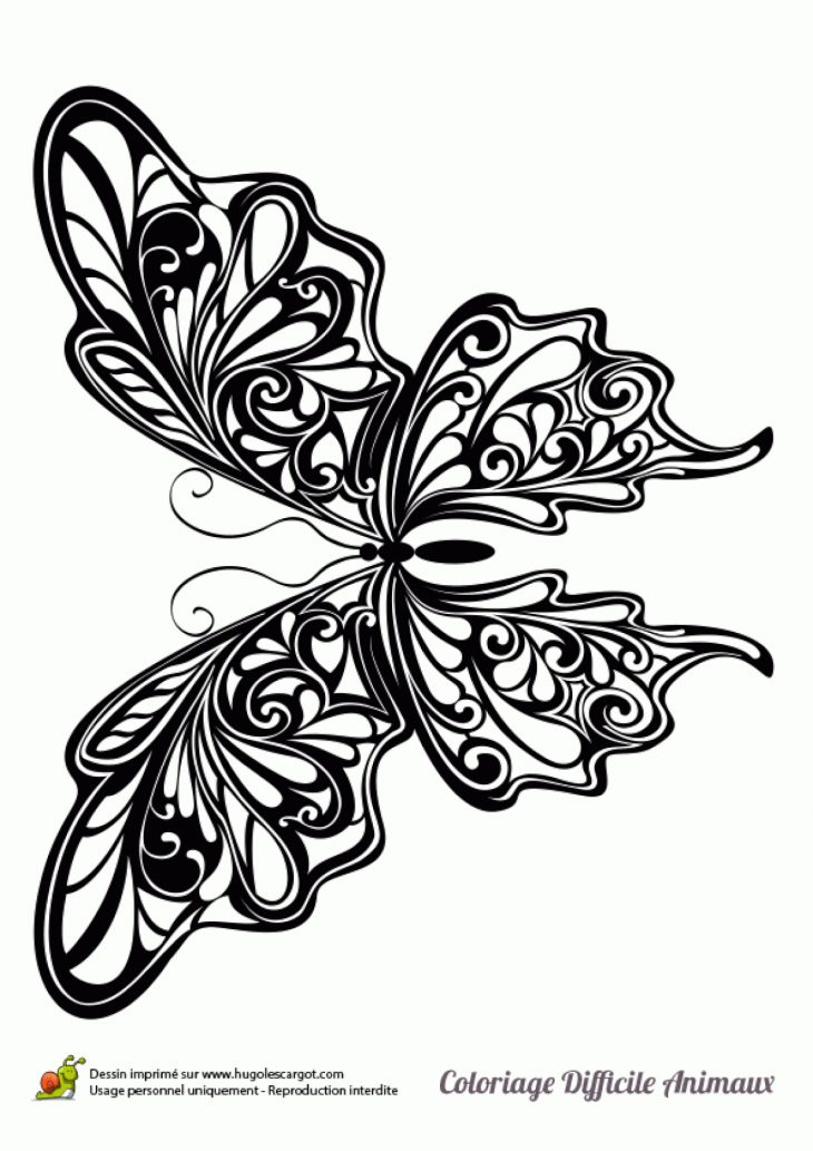 Dessin À Colorier D'un Papillon encequiconcerne Coloriage En Ligne Difficile