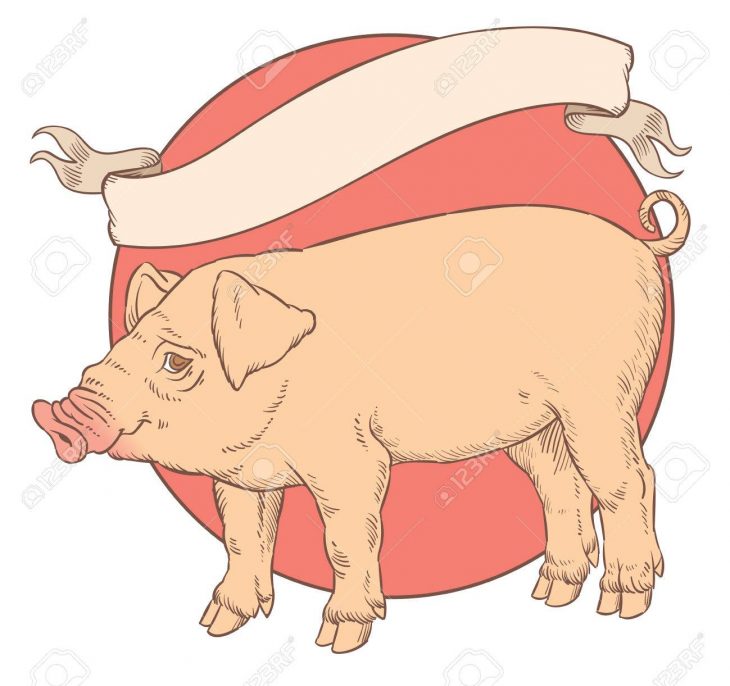 Dessin À La Main En Couleur De Cochon Domestique Avec Bandeau Ruban Vintage  Pour Étiquette-Illustration Vectorielle concernant Dessin De Cochon En Couleur