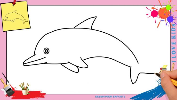 Dessin Dauphin 2 Facile – Comment Dessiner Dauphin Facilement Etape Par  Etape avec Apprendre A Dessiner Des Animaux Facilement Et Gratuitement