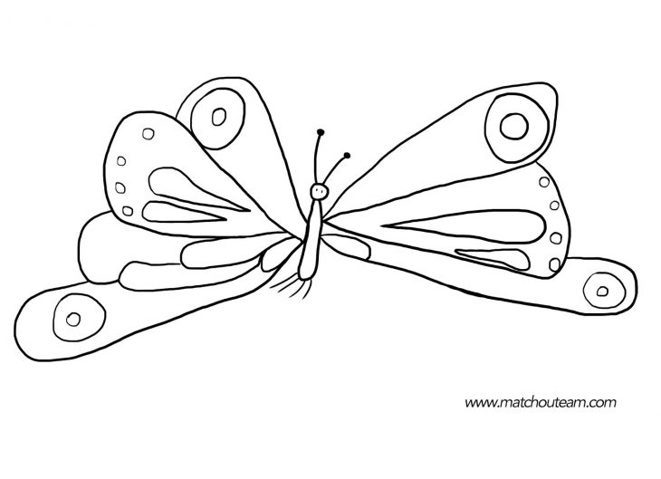 Dessin De Papillon À Colorier avec Jeux Papillon Gratuits Ligne