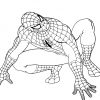 Dessin De Spiderman Gratuit À Télécharger Et Colorier à Dessins Gratuits À Télécharger