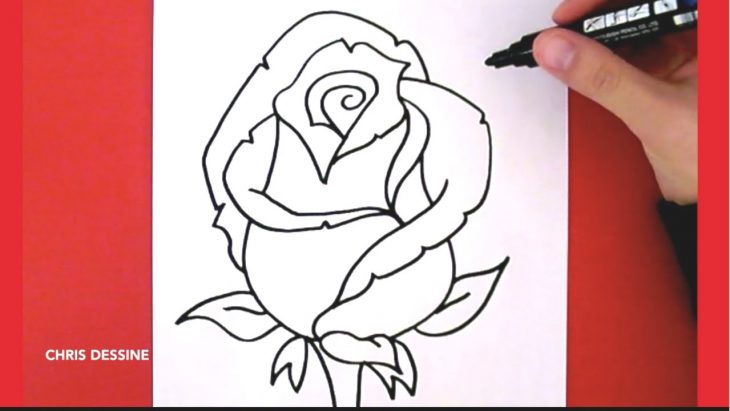 Dessin Facile – Comment Dessiner Une Rose – Chris Dessine intérieur Dessin Facile A Realiser